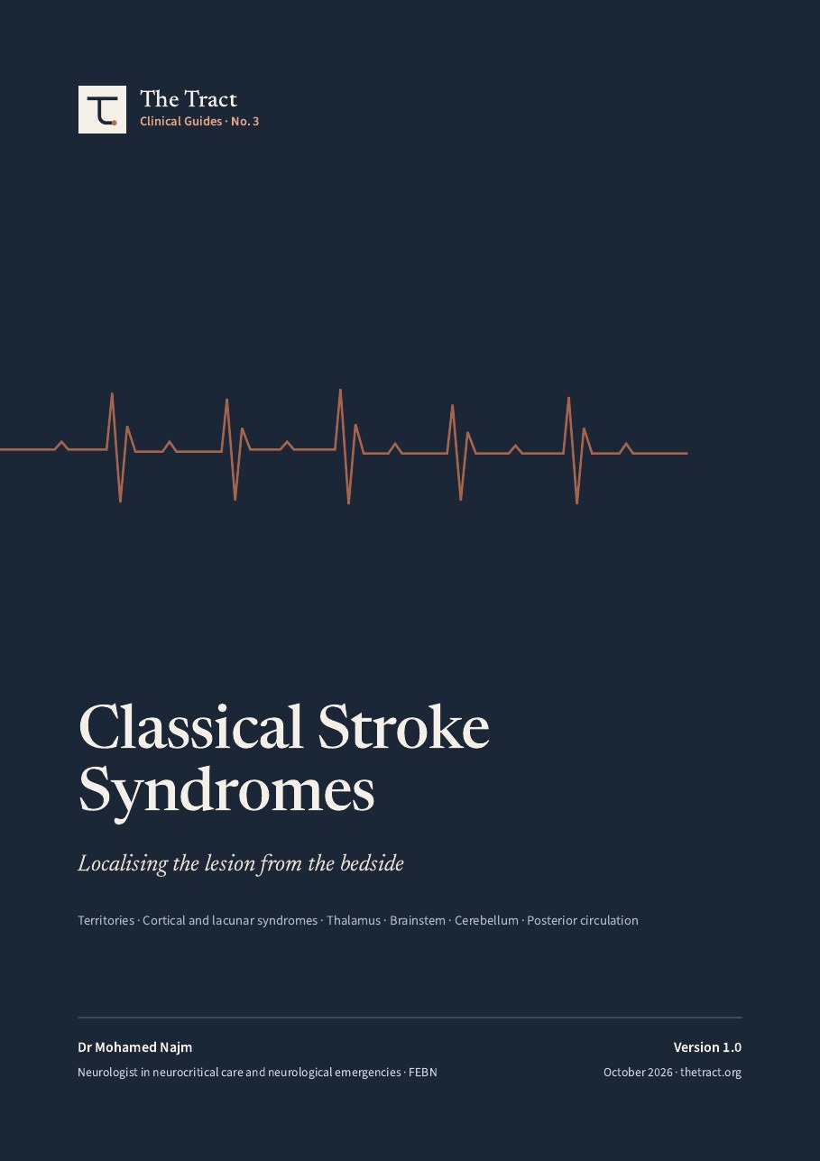 Cover of Classical Stroke Syndromes